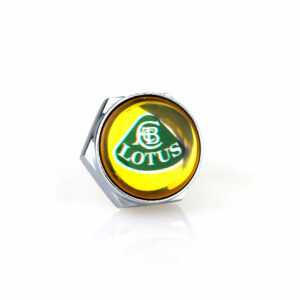 Lotus Silver License Plate Bolts